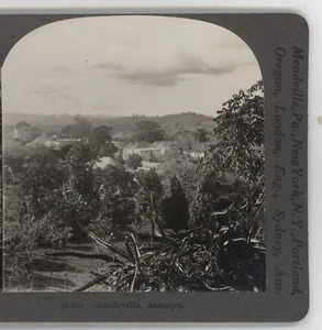 Mandeville Jamaika Keystone Stereoansicht um 1900 - Bild 1 von 4