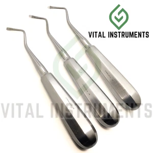 3 Pcs Bone Curette Molt #6R Right Hand Oval Cup Tip Stainless Steel Instruments - Picture 1 of 1