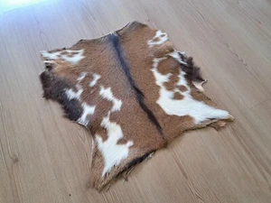Genuine Goat Skin, Mottled Leather, Spotted Pelt, Goat Hide, 1.4 x 1.9 ft - Picture 1 of 16
