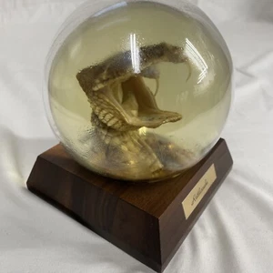 Vintage Handmade Taxidermy Western Rattlesnake Head - Picture 1 of 8