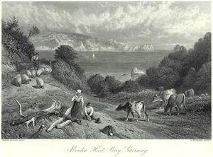 GUERNSEY Ansicht Stahlstich 1878 dekoratives Blatt - ORIGINAL! - Picture 1 of 1