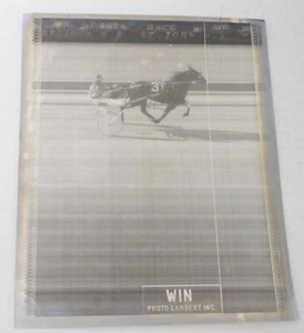 1974 Harness Racing Press Photo Exhibition Park Game Baron  Dr. Joe Goguen - Picture 1 of 4
