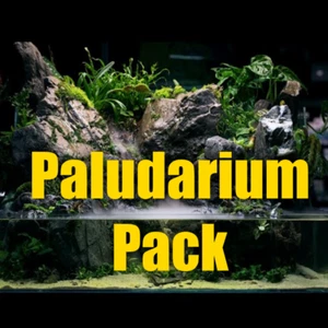 Paludarium Aquarium plant package filled with plants that are perfect Paludarium - Picture 1 of 6