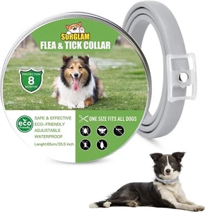 Collare Antipulci e Zecche per Cani Collare Regolabile Impermeabile 8 Mesi per t - Foto 1 di 24