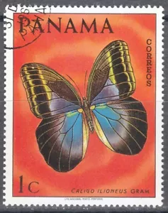 Panama 1968 CTO Sc 483A Butterfly Caligo ilioneus - Picture 1 of 1