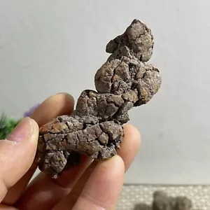 69g Top! Best Rare Natural dinosaur dung coprolite Poop specimen - Picture 1 of 10