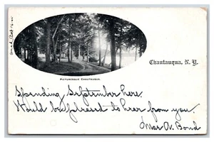 Lake Side Path Lake Chautauqua New York NY Vignette UDB Postcard U20 - Picture 1 of 2