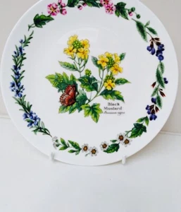 Vintage Royal Worcester Limited Edition Collectors Wall Plate - Black Mustard - - Picture 1 of 8