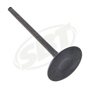 Kawasaki STX 12F/ 15F/ Ultra Intake Valve - Bild 1 von 3