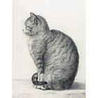 Jean Bernard Sitting Cat To Left Pencil Drawing Large Wall Art Print 18X24 In