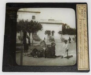 XRARE: ~1890s The End of the Nile, Egypt - glass photo (positive) - Picture 1 of 2