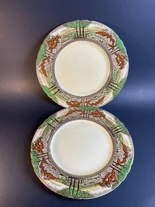 Myott England Countryside 10” Dinner Plate Set of 2 -Crazing - Picture 1 of 21