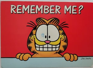Smiling Garfield the Cat Dental Appointment Reminder Postcard 6X4 Chrome - Picture 1 of 2
