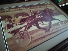 Tony Leonard signed photograph of famed horse Niatross and rider Clint Galbraith