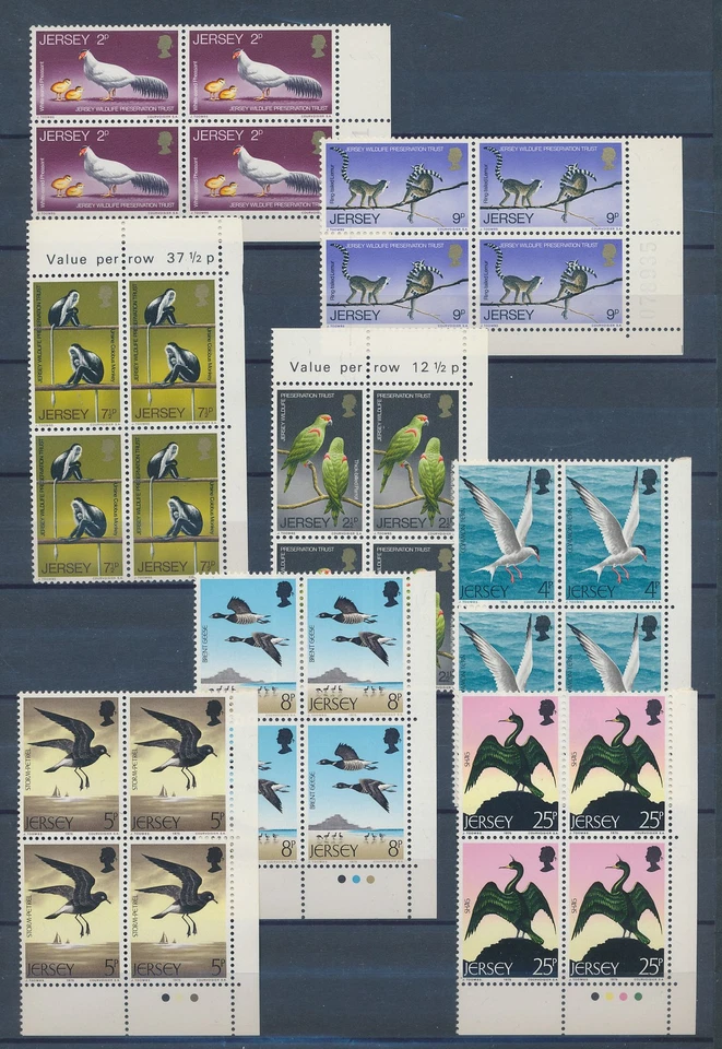 XE58619 Jersey 1975 animals fauna flora wildlife blocks of 4 MNH - Image 1 of 1