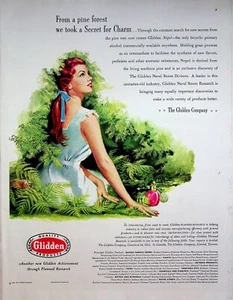 1951 Glidden Nopol Bicyclic Primary Alcohol Southern Pine Vintage Print Ad - Picture 1 of 1