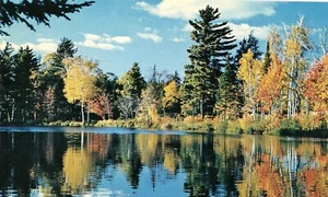 Bunte Herbstszene --POSTKARTE - Bild 1 von 2