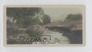 1926 Cavanders Camera Studies Tobacco Small The Placid Stream #46 a8x