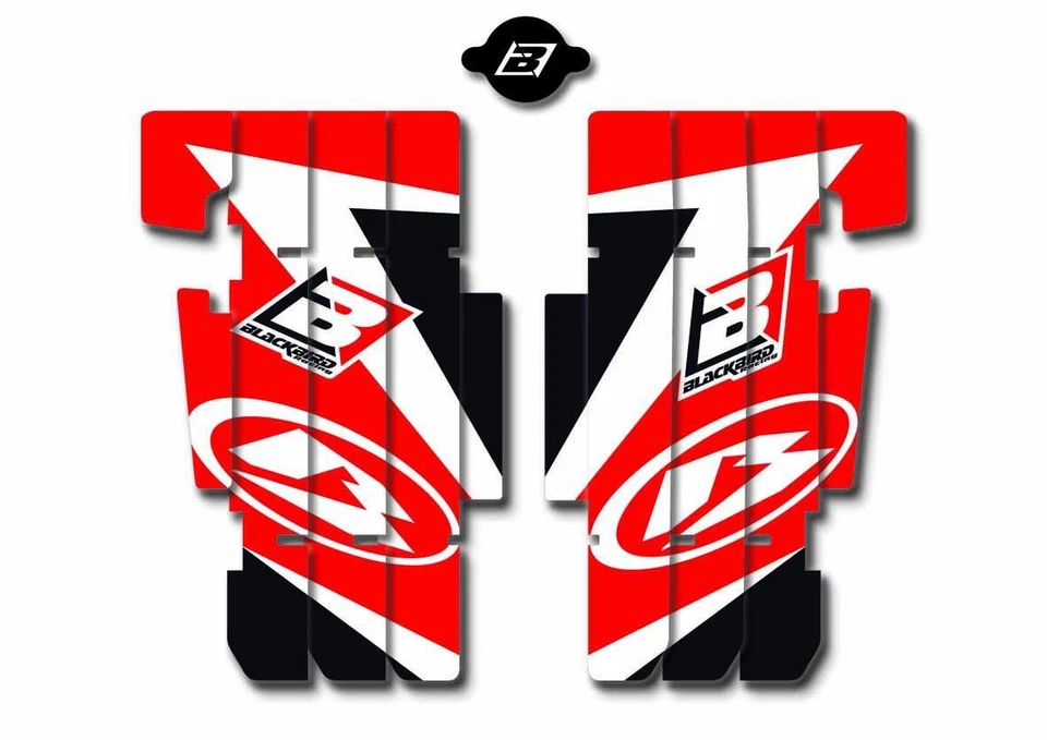 CALCOMANÍAS RAD LOUVERS BETA RR 2T/4T 2013-2017 Foto 1 de 1