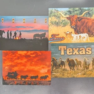 Nuevas postales de Texas LOTE DE 4 caballos Sunset Longhorn - Imagen 1 de 2