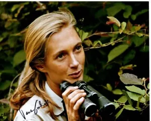 Foto firmada por Jane Goodall de 8x10 con certificado de autenticidad de holograma - Imagen 1 de 2