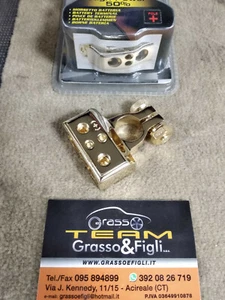 Morsetto Batteria Gold Plate dorato Polo + Positivo Terminale placca oro 51800 - Picture 1 of 4