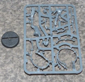 Warhammer High Gladiatrix Daughters of Khaine Games Workshop Age of Sigmar Neu - Bild 1 von 3