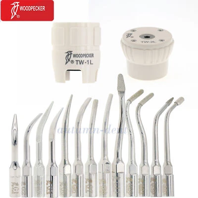 Woodpecker Dental Ultrasonic Scaler Tips Piezo Scaling fits EMS Handpiece G-Tips - Image 1 of 4