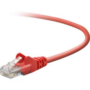 BELKIN INTERNATIONAL INC A3L791B07-RED-S Cat Cbl Rj45M/Rj45M 7 Red - Picture 1 of 1