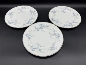 Paragon Brides Choice 8" Salad Plates (Set of 3) Bone China England - Picture 1 of 5