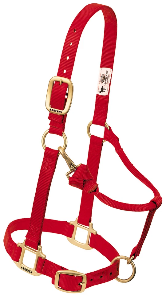 Halter Caballo Cuero Tejedor Original Ajustable Nylon, Mediano, Rojo, 35-7035-RD Foto 1 de 1