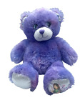Build a Bear Wizards of Waverly Place Disney Purple Teddy Bear Plush Stuffed Toy