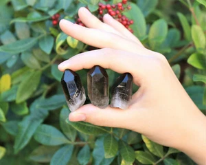 3 große Rauchquarz Punkte (1" - 1,5") (rohe grobe Rauchquarz Punkte) - Bild 1 von 10