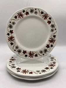Set Of 4 Grindley Vitrified Hotelware Plates England 10” Autumn Floral (B) - Picture 1 of 8
