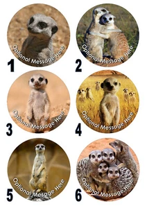 Edible Meerkats decoration Cake Topper choices of size, iced and standing - Picture 1 of 10