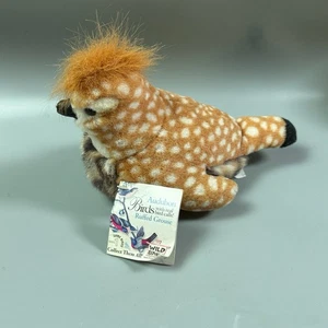 Peluche Repubblica Selvaggia Audubon uccellini gallo cedrone arruffato con etichette con animali sonori carino - Foto 1 di 6