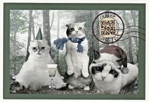 SELTENE Taylor Swift "FOLKLORE" Postkarte mit leerer Rückseite - Bild 1 von 1