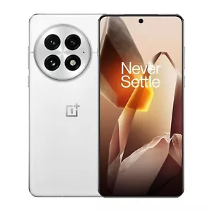 OnePlus 13 Smarter AI (12GB RAM, 256GB Storage Arctic Dawn) Global Version - Picture 1 of 4