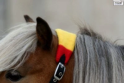 Halfter mit Fleece  Minishetty Fohlen  Mini Shetty Mini Pony  Nylonhalfter - Bild 1 von 4
