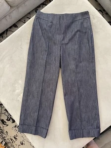 Lida Baday Women Pants Cotton/ Silk Blend Size 12 Wide Leg 26” Inseam - Picture 1 of 4