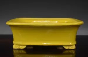 Japanese Bonsai Pot Tokoname EIMEI 7.7"(19.6cm) Yellow Glazed Rectangle L318 - Picture 1 of 6