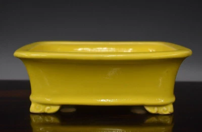 Japanese Bonsai Pot Tokoname EIMEI 7.7"(19.6cm) Yellow Glazed Rectangle L318 - Image 1 of 4