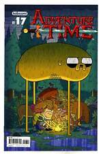 Adventure Time Vol 1 17 Boom! Studios