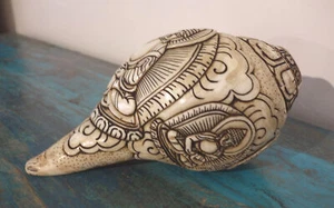 Echtes Muschel-Horn, Bekenntnis-Buddhas aus Nepal, Conch, Meisterarbeit! - Picture 1 of 4