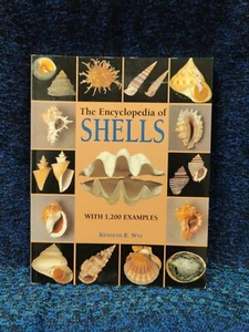 Encyclopedia of Shells - Hardcover By Wye, Kenneth R. - Good - Picture 1 of 9