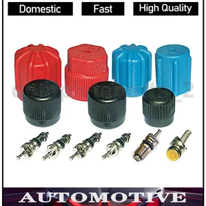 A/C System Valve Core and Cap Kit Fits 1981 1978 1979 1980 1983 Chevrolet C10 - Picture 1 of 1