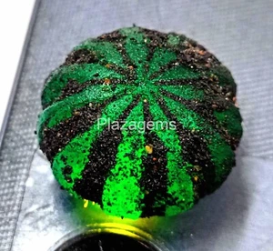 (Teñido de color) Piedra preciosa suelta áspera esmeralda verde certificada natural 55,95 quilates 4JKH - Imagen 1 de 7