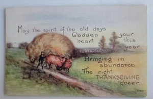 AK THANKSGIVING CHEER pc 318D Farmer Steer Zugwagen von Hay FAO #275 - Bild 1 von 2