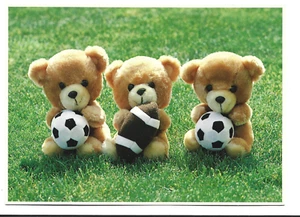 5X7" POSTCARD,3 LITTLE BEARS-1 HOLDING A FOOTBALL,2 WITH SOCCER BALLS 1983 - Picture 1 of 1