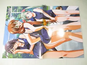 Ikki Tousen"" ca. 43x29,5 cm doppelseitiges Poster, Sola - Bild 1 von 2